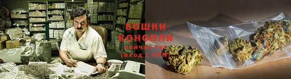2c-b Богородицк