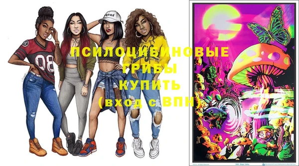 2c-b Богородицк
