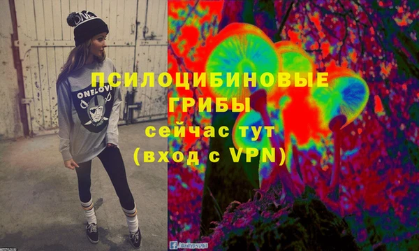 2c-b Богородицк