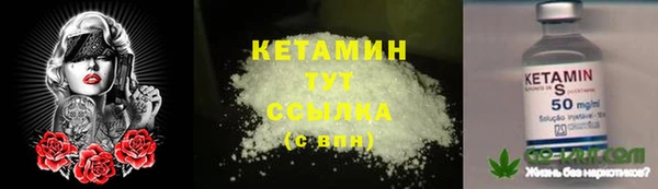 2c-b Богородицк