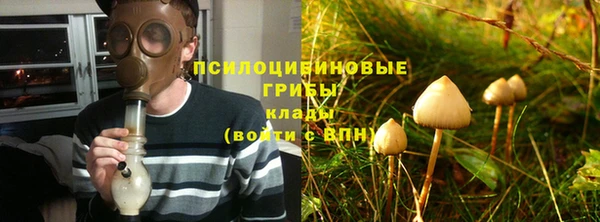 дживик Богданович