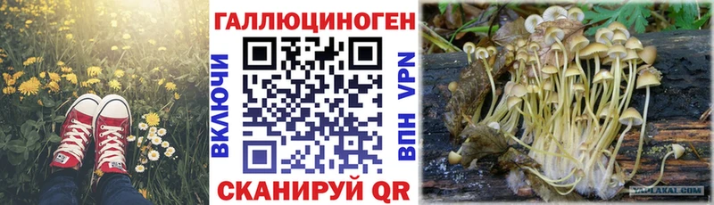 мега зеркало  Ангарск  Галлюциногенные грибы мухоморы 